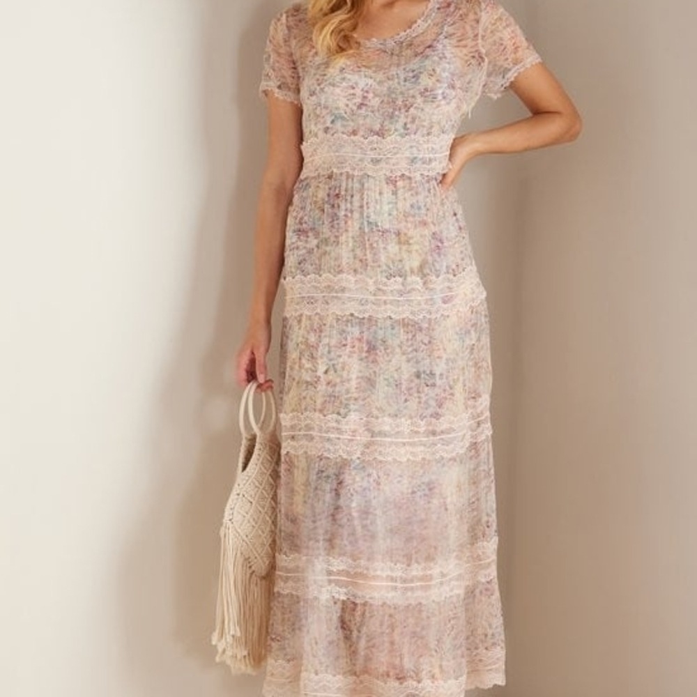 Soft Surroundings Alethea Sz 4 Nwt Sheer Floral Lace Maxi Dress in‎ Pale Pink